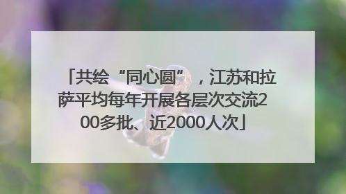 共绘“同心圆”，江苏和拉萨平均每年开展各层次交流200多批、近2000人次