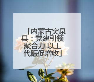 内蒙古突泉县：党建引领聚合力 以工代赈促增收