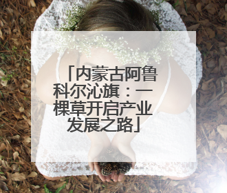 内蒙古阿鲁科尔沁旗：一棵草开启产业发展之路