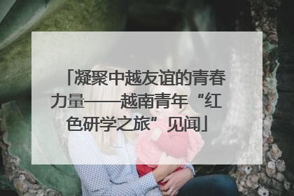 凝聚中越友谊的青春力量——越南青年“红色研学之旅”见闻