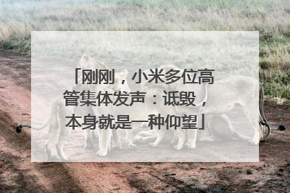刚刚，小米多位高管集体发声：诋毁，本身就是一种仰望