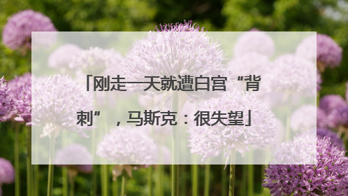 刚走一天就遭白宫“背刺”，马斯克：很失望