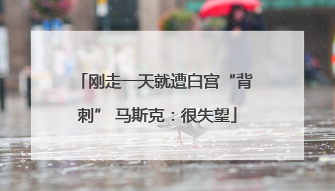 刚走一天就遭白宫“背刺” 马斯克：很失望
