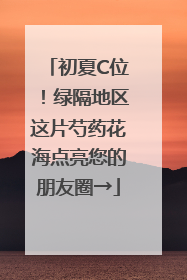 初夏C位！绿隔地区这片芍药花海点亮您的朋友圈→