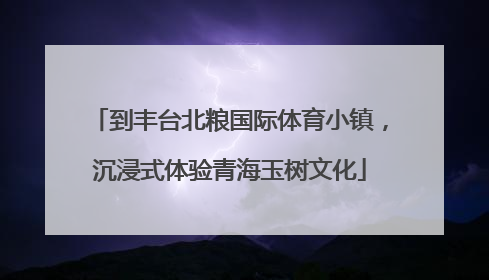 到丰台北粮国际体育小镇，沉浸式体验青海玉树文化