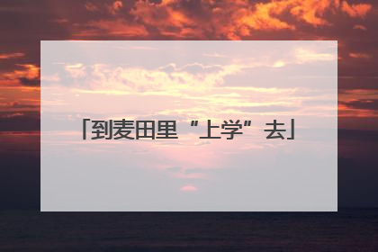 到麦田里“上学”去