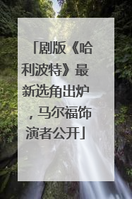 剧版《哈利波特》最新选角出炉，马尔福饰演者公开