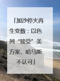 加沙停火再生变数：以色列“接受”美方案、哈马斯不认可