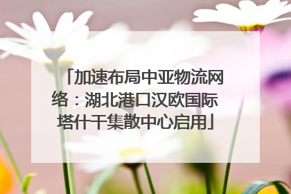 加速布局中亚物流网络：湖北港口汉欧国际塔什干集散中心启用