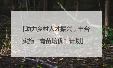 助力乡村人才振兴，丰台实施“青苗培优”计划