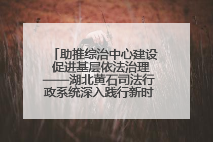 助推综治中心建设 促进基层依法治理——湖北黄石司法行政系统深入践行新时代枫桥经验