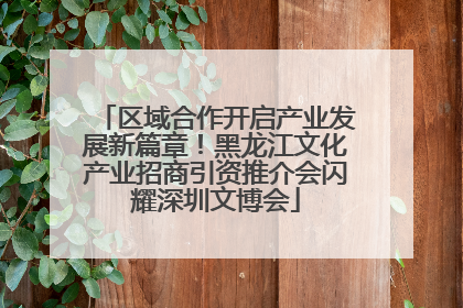 区域合作开启产业发展新篇章！黑龙江文化产业招商引资推介会闪耀深圳文博会