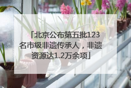 北京公布第五批123名市级非遗传承人，非遗资源达1.2万余项