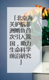 北京海关护航非洲鳉鱼首次引入我国，助力生命科学前沿研究