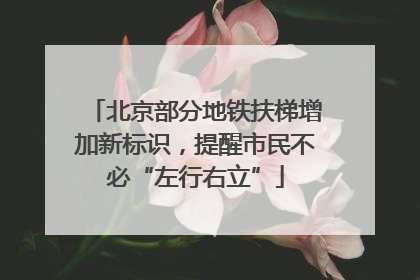 北京部分地铁扶梯增加新标识，提醒市民不必“左行右立”