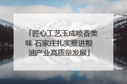 匠心工艺玉成喷香美味 石家庄扎实推进粮油产业高质量发展