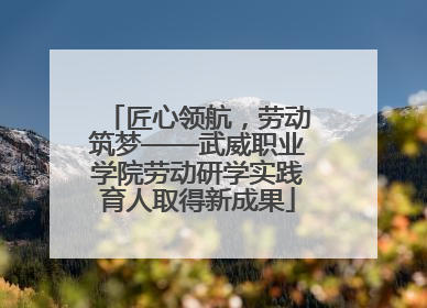 匠心领航，劳动筑梦——武威职业学院劳动研学实践育人取得新成果