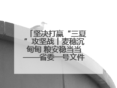 坚决打赢“三夏”攻坚战丨麦穗沉甸甸 粮安稳当当——省委一号文件系列解读①