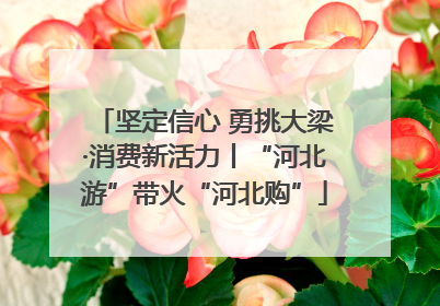 坚定信心 勇挑大梁·消费新活力丨“河北游”带火“河北购”
