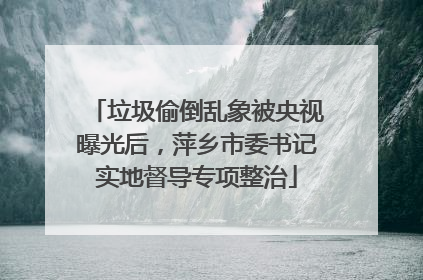 垃圾偷倒乱象被央视曝光后，萍乡市委书记实地督导专项整治