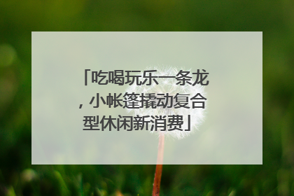 吃喝玩乐一条龙，小帐篷撬动复合型休闲新消费