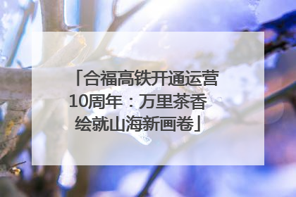 合福高铁开通运营10周年：万里茶香绘就山海新画卷