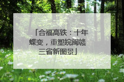 合福高铁：十年蝶变，重塑皖闽赣三省新图景