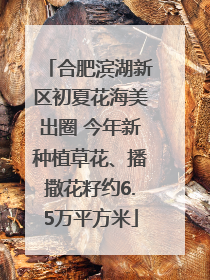 合肥滨湖新区初夏花海美出圈 今年新种植草花、播撒花籽约6.5万平方米