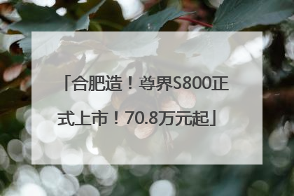 合肥造！尊界S800正式上市！70.8万元起