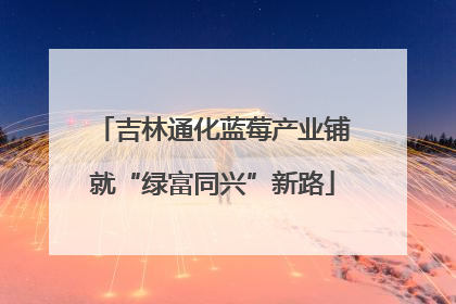 吉林通化蓝莓产业铺就“绿富同兴”新路