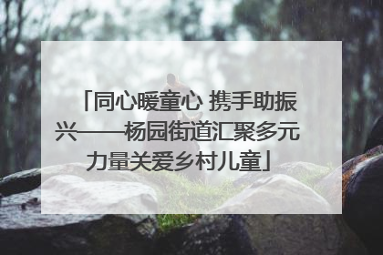 同心暖童心 携手助振兴——杨园街道汇聚多元力量关爱乡村儿童