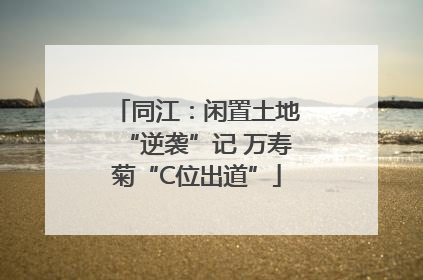同江：闲置土地“逆袭”记 万寿菊“C位出道”