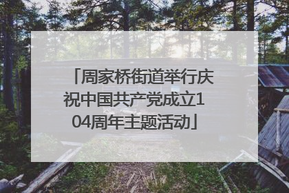 周家桥街道举行庆祝中国共产党成立104周年主题活动