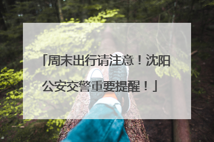 周末出行请注意！沈阳公安交警重要提醒！