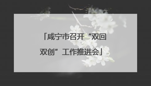 咸宁市召开“双回双创”工作推进会