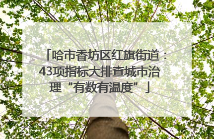 哈市香坊区红旗街道：43项指标大排查城市治理“有数有温度”