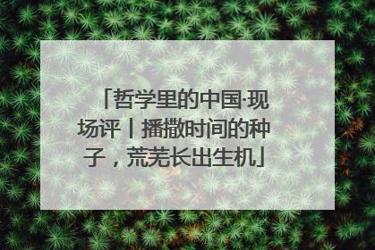 哲学里的中国·现场评丨播撒时间的种子，荒芜长出生机