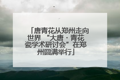 唐青花从郑州走向世界 “大唐・青花瓷学术研讨会”在郑州圆满举行