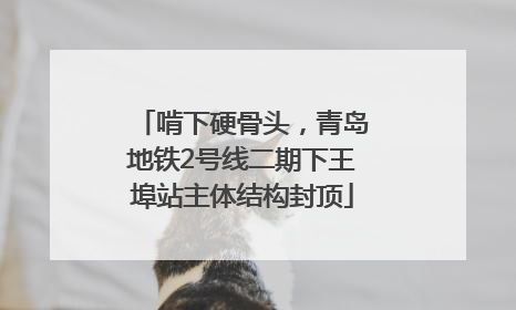 啃下硬骨头，青岛地铁2号线二期下王埠站主体结构封顶