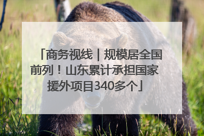 商务视线｜规模居全国前列！山东累计承担国家援外项目340多个