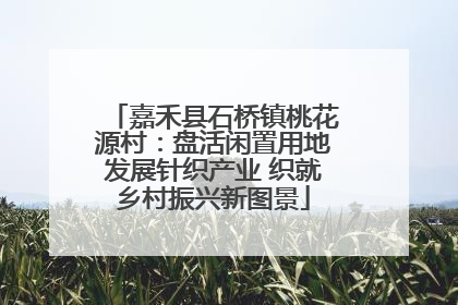 嘉禾县石桥镇桃花源村：盘活闲置用地发展针织产业 织就乡村振兴新图景