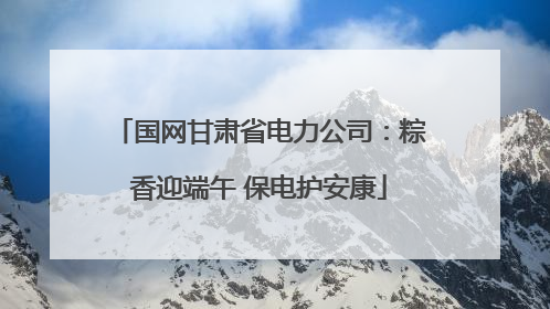 国网甘肃省电力公司：粽香迎端午 保电护安康