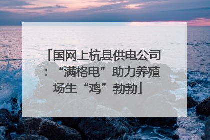 国网上杭县供电公司：“满格电”助力养殖场生“鸡”勃勃