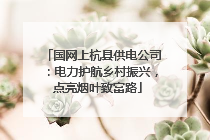国网上杭县供电公司：电力护航乡村振兴，点亮烟叶致富路