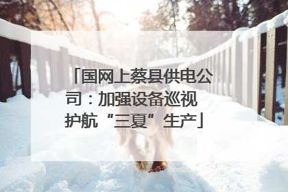 国网上蔡县供电公司：加强设备巡视 护航“三夏”生产