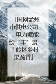 国网孟州市供电公司：电力赋能绘“丰”景！岭区乡村果蔬香
