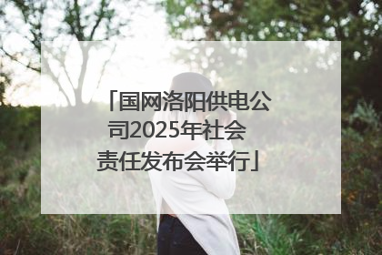 国网洛阳供电公司2025年社会责任发布会举行