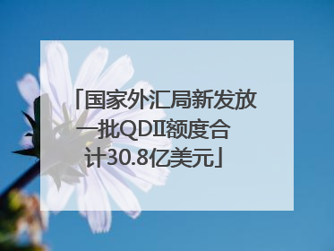 国家外汇局新发放一批QDII额度合计30.8亿美元
