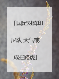 国足对阵印尼队 天气或成拦路虎