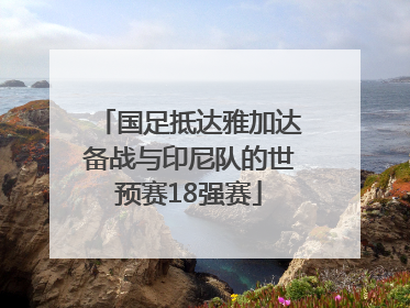 国足抵达雅加达备战与印尼队的世预赛18强赛